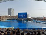 名古屋港水族館に投稿された画像（2026/2/23）