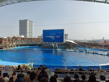 名古屋港水族館に投稿された画像（2026/2/23）