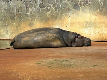名古屋市東山動植物園に投稿された画像（2026/2/23）