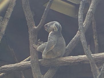 名古屋市東山動植物園に投稿された画像（2026/2/23）