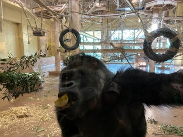 名古屋市東山動植物園に投稿された画像（2026/2/23）