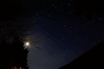 大井川鐵道株式会社に投稿された画像（2026/2/23）