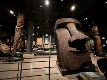 国立民族学博物館に投稿された画像（2026/2/23）