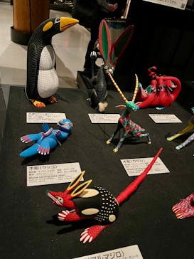 国立民族学博物館に投稿された画像（2026/2/23）