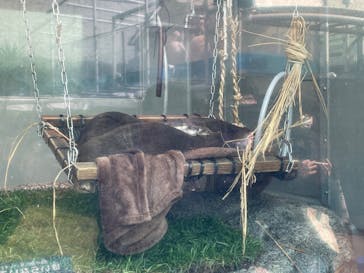 サンシャイン水族館に投稿された画像（2026/2/23）