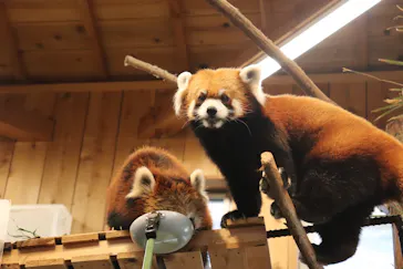 伊豆シャボテン動物公園に投稿された画像（2026/2/23）