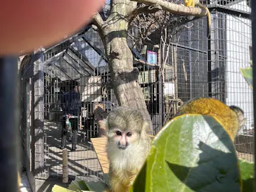 伊豆シャボテン動物公園に投稿された画像（2026/2/23）