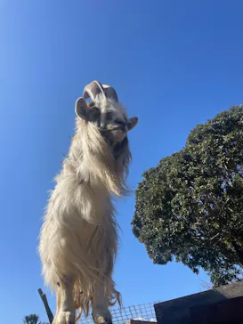 伊豆シャボテン動物公園に投稿された画像（2026/2/23）