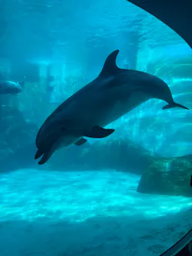 名古屋港水族館に投稿された画像（2026/2/23）