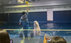 島根県立 しまね海洋館に投稿された画像（2026/2/23）