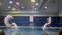 島根県立 しまね海洋館に投稿された画像（2026/2/23）