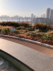 東京豊洲 万葉倶楽部に投稿された画像（2026/2/23）