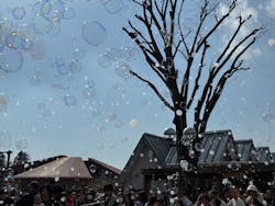 道の駅うつのみや ろまんちっく村 湯処あぐりに投稿された画像（2026/2/23）