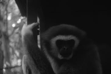 恩賜上野動物園に投稿された画像（2026/2/23）