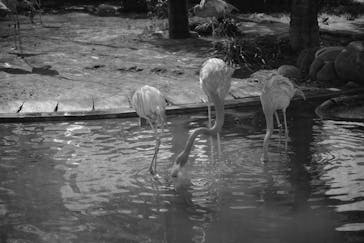恩賜上野動物園に投稿された画像（2026/2/23）