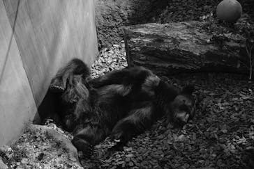 恩賜上野動物園に投稿された画像（2026/2/23）