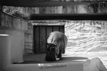 恩賜上野動物園に投稿された画像（2026/2/23）