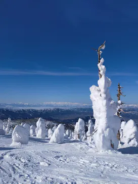 蔵王温泉スキー場に投稿された画像（2026/2/23）