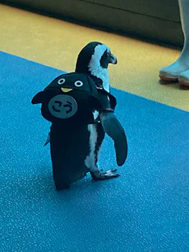 箱根園水族館に投稿された画像（2026/2/23）