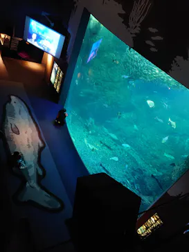新江ノ島水族館に投稿された画像（2026/2/23）