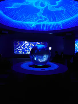 新江ノ島水族館に投稿された画像（2026/2/23）