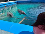 ゼロ距離水族館 伊勢シーパラダイスに投稿された画像（2026/2/23）
