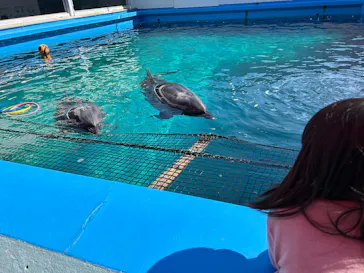 ゼロ距離水族館 伊勢シーパラダイスに投稿された画像（2026/2/23）