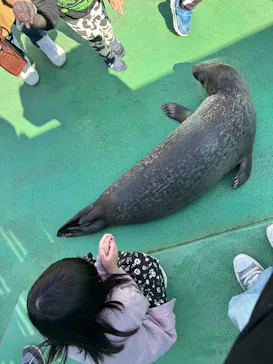 ゼロ距離水族館 伊勢シーパラダイスに投稿された画像（2026/2/23）