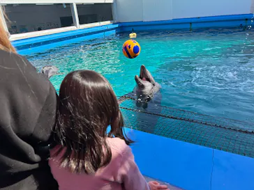 ゼロ距離水族館 伊勢シーパラダイスに投稿された画像（2026/2/23）