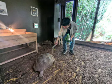 体感型動物園iZooに投稿された画像（2026/2/23）