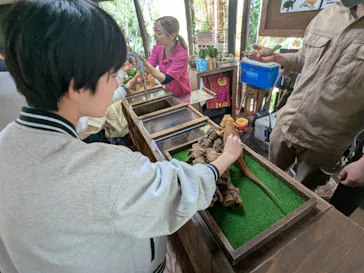 体感型動物園iZooに投稿された画像（2026/2/23）