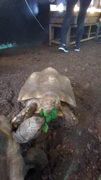 体感型動物園iZooに投稿された画像（2026/2/23）