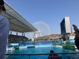 名古屋港水族館に投稿された画像（2026/2/23）