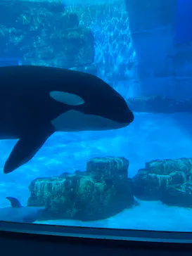 名古屋港水族館に投稿された画像（2026/2/23）