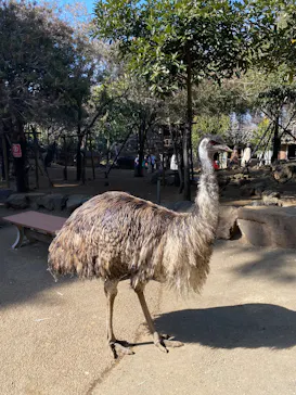 伊豆シャボテン動物公園に投稿された画像（2026/2/23）