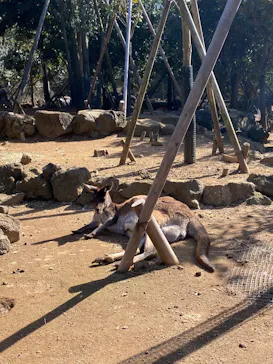 伊豆シャボテン動物公園に投稿された画像（2026/2/23）