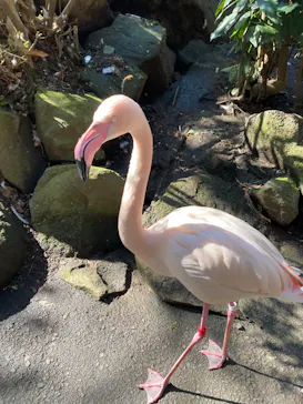 伊豆シャボテン動物公園に投稿された画像（2026/2/23）