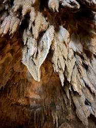 おきなわワールドに投稿された画像（2026/2/23）