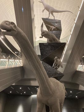 福井県立恐竜博物館に投稿された画像（2026/2/23）