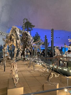 福井県立恐竜博物館に投稿された画像（2026/2/23）