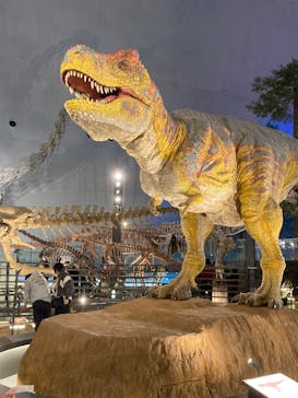 福井県立恐竜博物館に投稿された画像（2026/2/23）