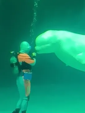 鴨川シーワールドに投稿された画像（2026/2/23）