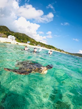 isola blue（イゾラブルー）に投稿された画像（2026/2/23）