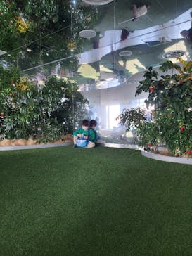 サンシャイン60展望台に投稿された画像（2026/2/23）