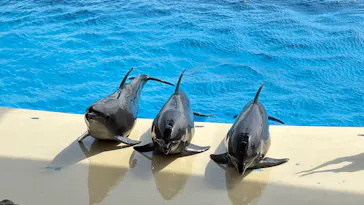 マリンワールド海の中道に投稿された画像（2026/2/23）