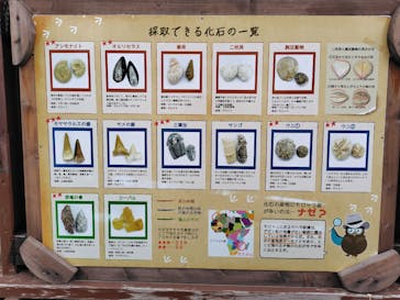 滋賀農業公園ブルーメの丘に投稿された画像（2026/2/23）