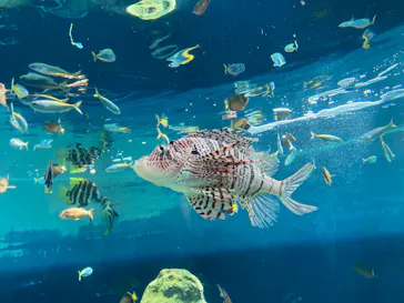 葛西臨海水族園に投稿された画像（2026/2/23）