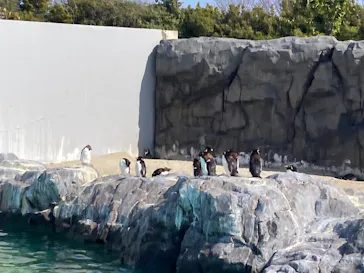 葛西臨海水族園に投稿された画像（2026/2/23）