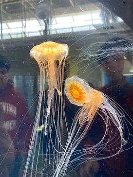 葛西臨海水族園に投稿された画像（2026/2/23）