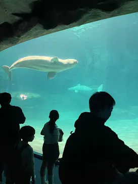 名古屋港水族館に投稿された画像（2026/2/23）